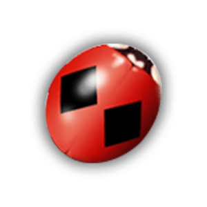 coccinelle plein ciel