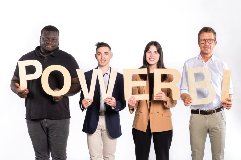 intégrateur microoft power BI