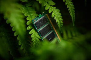 Informatique sobriété