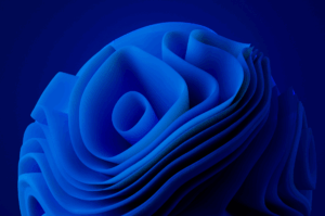 Migration Windows 10 vers Windows 11